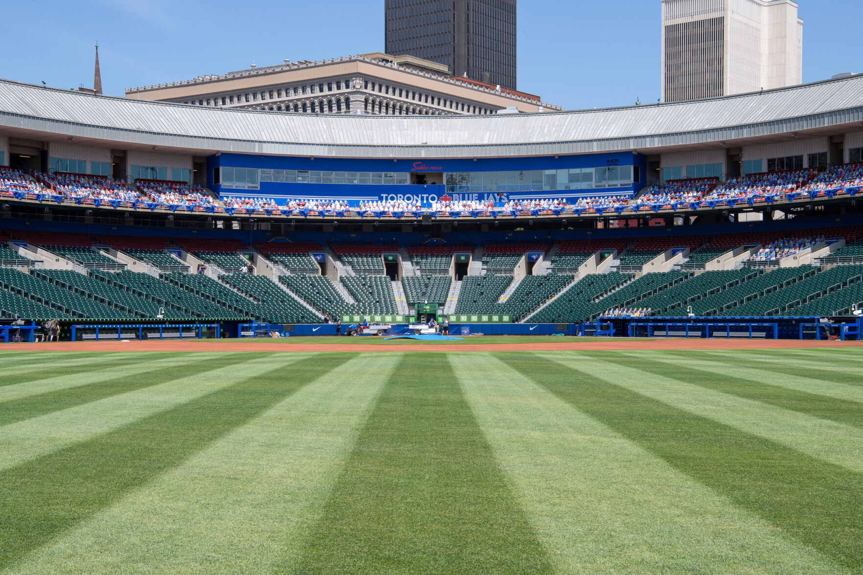 Outfield